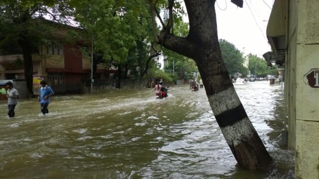 People wading and a motorcyclist riding through a flooded tree-lined street in Chennai