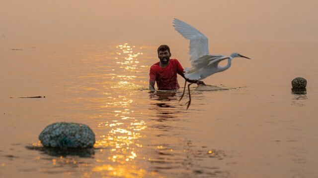 A fisherman wading at Kakinada beach, Andhra Pradesh