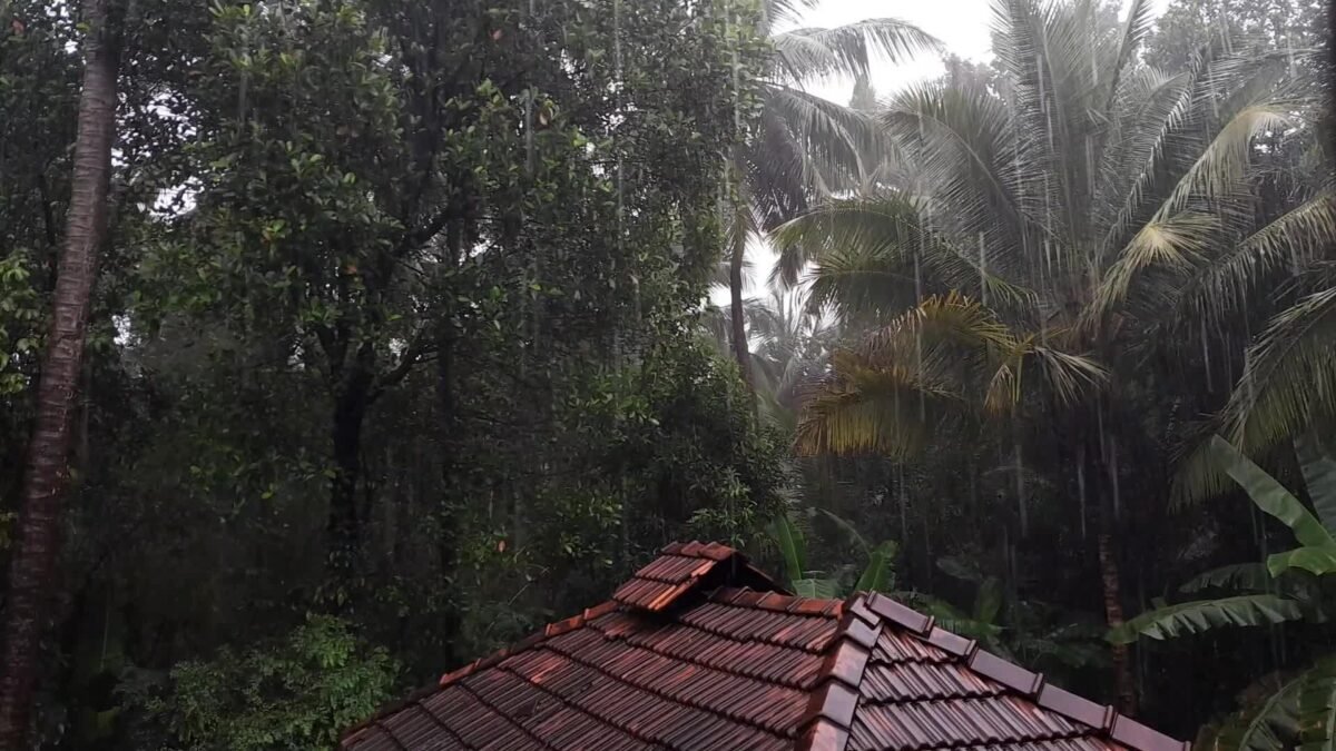 Kerala, Karnataka rain: IMD yellow alerts till 20 October