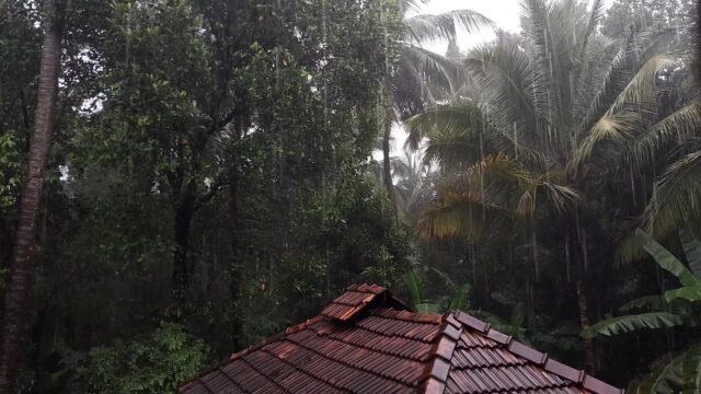 Kerala, Karnataka rain: IMD yellow alerts till 20 October