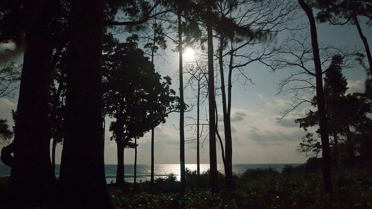 A full moon over the sea at night