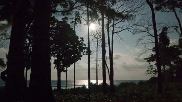 A full moon over the sea at night