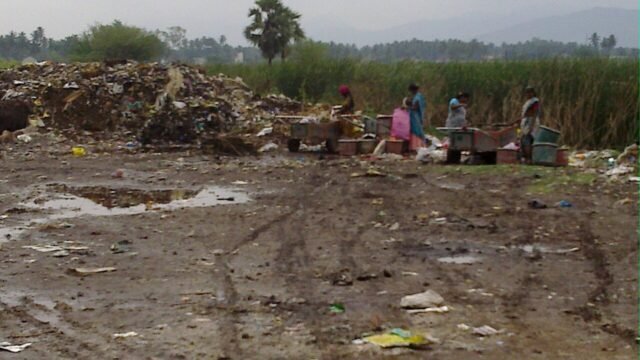 A VIEW OF GARBAGE 1