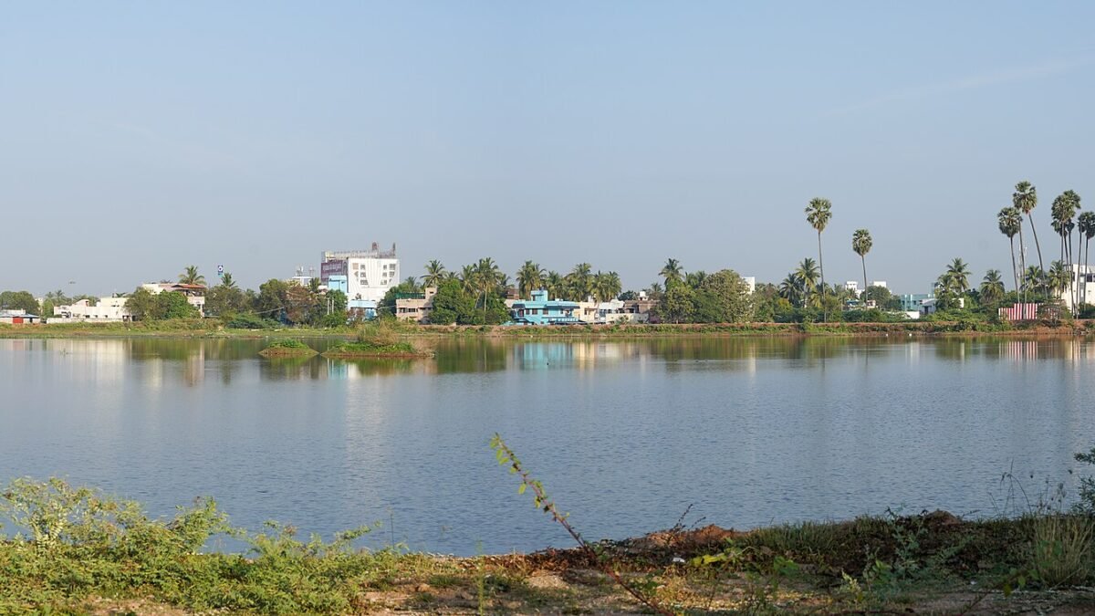 Panoramic view of Veinthaan Kulam lake in Tirunelveli, Tamil Nadu
