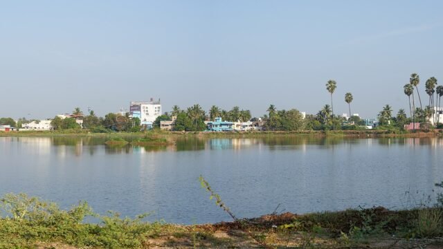 Panoramic view of Veinthaan Kulam lake in Tirunelveli, Tamil Nadu