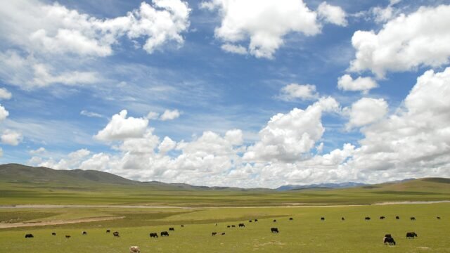 High-altitude grassland landscape in Nagqu County, Tibet