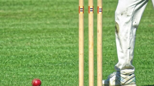 A cricket ball resting against a wicket